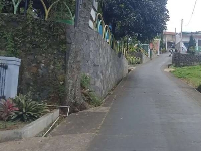 Tanah hook pinggir jalan desa dkt kolam renang oma opa Bandung