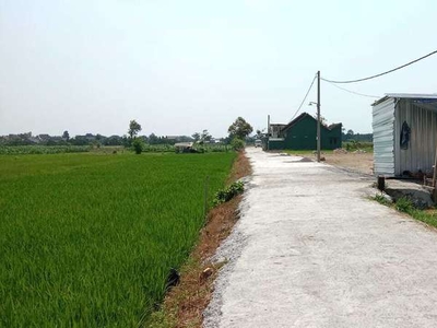 Tanah kapling Purwomartani Kalasan