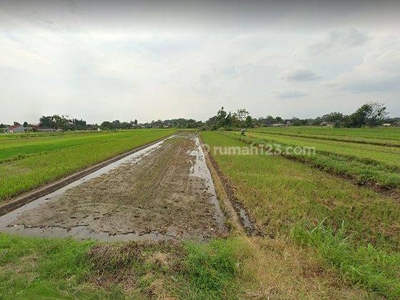 Tanah Kering Di Dusun Kadirojo, Purwomartani, Kalasan, Sleman