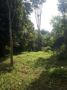Tanah Mainroad Jalan Kabupaten Subang Dijual Cepat