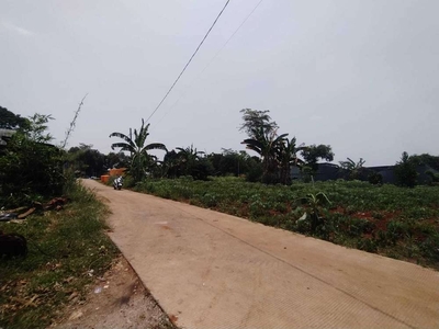 Termurah: Tanah SHM Harga 1 Jutaan 500m Jalan Bomang