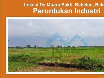 Dijual Tanah 4 Hektar Cocok Untuk Investasi Dan Pabrik Babelan Bekasi