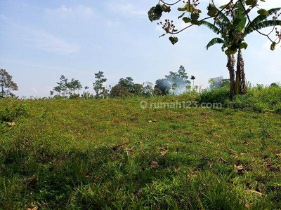 Murah di Asrikaton Pakis bisa jadi 3 rumah