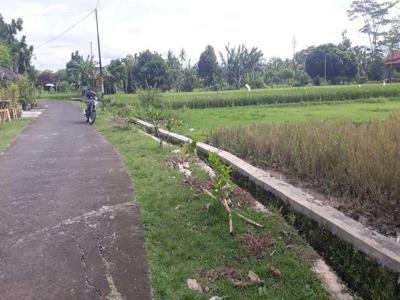 BU Jual cepat murah sawah Pribadi SHM Zona Kuning Sidomoyo Godean