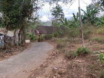 Dekat Pasar Tempuran Magelang, Lingkungan Nasionalis