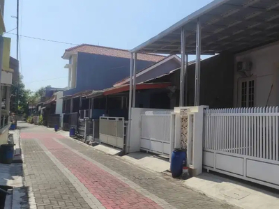 Jual Murah, Rumah baru di Jl Merpati Pedurungan Tengah Dkt Sukarno Hat