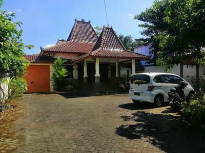 Rumah Etnik Joglo di Condongcatur Jogja Depok Sleman Yogyakarta