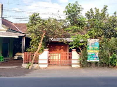Rumah Mbah Umi Ngunut