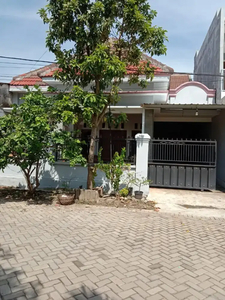 Rumah murah griya mangli indah