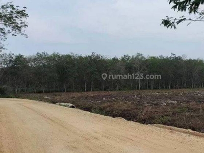 Tanah Kosong 2,3 Hektar di Jl Tugu Nenas Kac. Tambang, Kampar