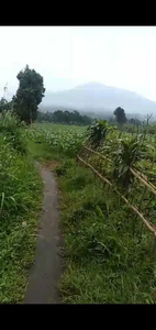 Di jual lahan/tanah kebun subur, datar view gunung di Cigombong bogor