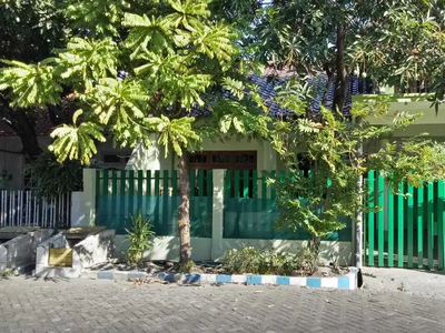 Dijual Cepat Rumah Kos Hitung Tanah Rungkut Mejoyo Selatan