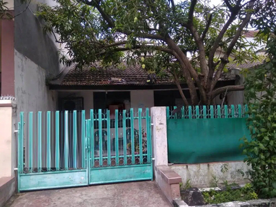 Dijual Rumah Siap Huni Di Darmo Indah Timur Surabaya KT