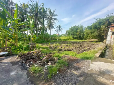 Dijual Tanah 1.200M2 di Braban TANAH LOT