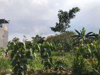 Tanah Kota Malang Dekat UIN Layak Bangun Rumah