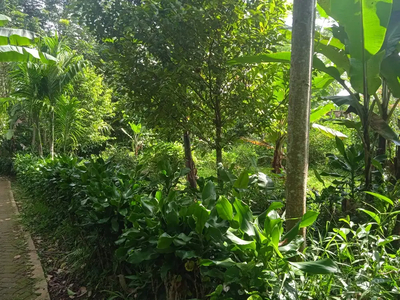 Tanah Murah Dijual Luas 6900 m2 Kebun di Bojong Purwakarta