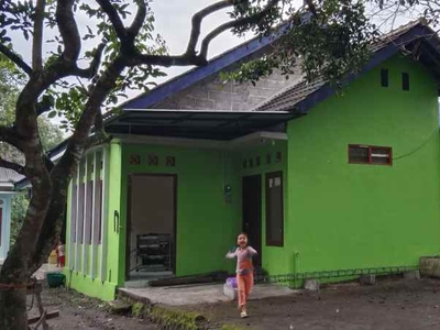 Rumah Disewakan Lokasi Strategis Daerah Belakang Hyatt Regency