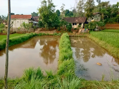 Dijual kolam ikan murah pinggir jalan