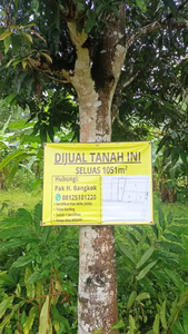 DIJUAL TANAH SUDAH 1 SERTIFIKAT