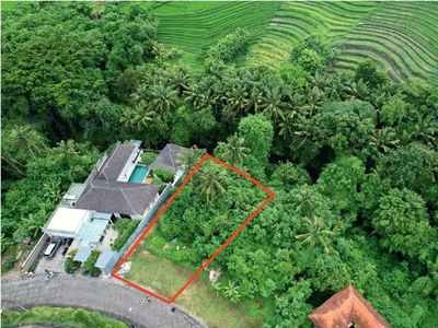 Exclusive Riverside 9.3 are Land Ricefiled View at Greenlot Munggu