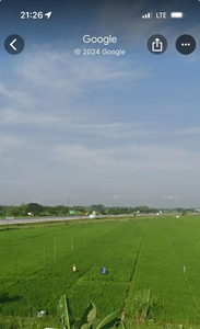 Jual Sawah Produktif pinggir Tol Sragen