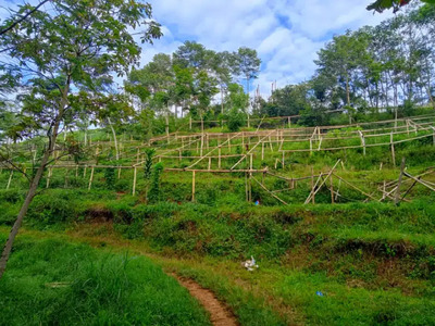 Lahan kebun Murah Ciwidey Akses Mobil