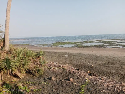 los pantai 40 are Perancak Jembrana Bali