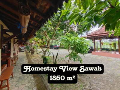 Rumah Villa Homestay Dekat Sawah