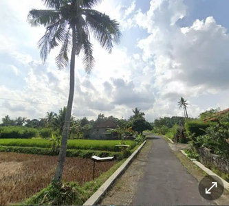 Tanah Murah SHM View Gunung Merapi Hamparan sawah Hijau