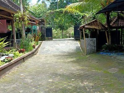 villa central ubud lease long term can be 30 years price negotiable