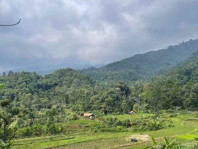 Jual Murah Tanah Darat Udara Dingin Di Desa Wisata Purwakarta