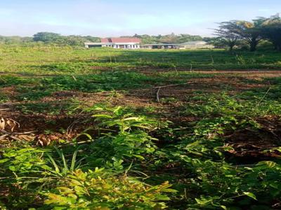 Buat yang mau beli tanah lokasi Banjarbaru Bisa langsung hubungi