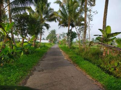 Dijual sawah di Pandowoharjo dekat wisata obelik hill