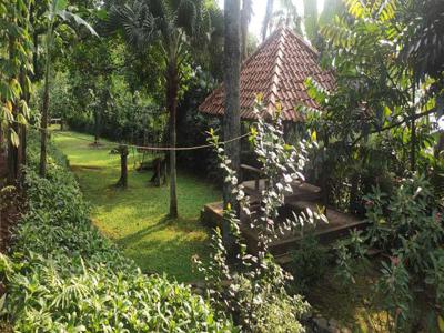 Dijual Tanah Kebun Di Cilangkap Depok, desa Banjaran Pucung