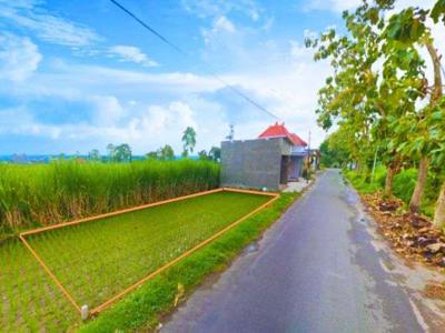 Dijual Tanah Ketami Pesantren Kota Kediri