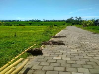 DIJUAL tanah pantai Nyanyi view sawah alami jln bagus rapi Tabanan Bal