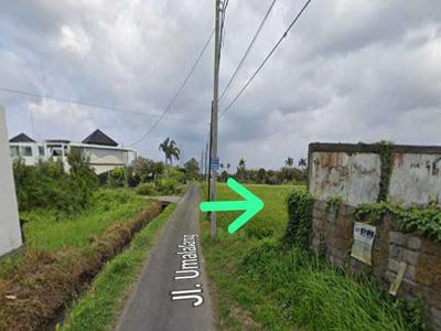 Dijual Tanah View Sawah, Sungai, Laut Cemagi Jalan Umalalang