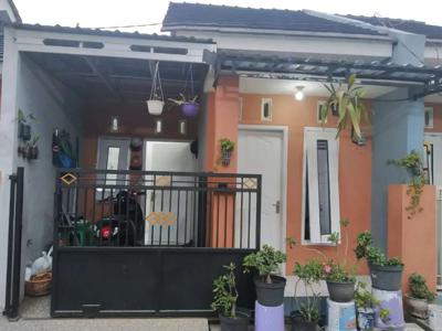 Disewakan/ dikontrakkan / dijual cepat rumah jumput rejo sukodono