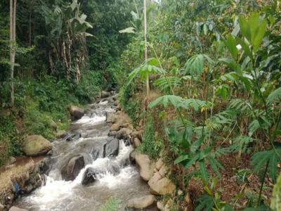 Jual tanah kebun pinggir jalan .langsung nempel sungai murah