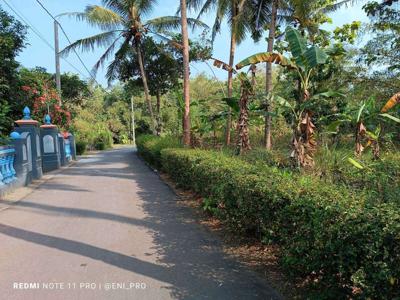 JUAL TANAH KULON PROGO DI TENGAH KOTA PENGASIH