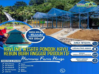 KAVLING WISATA KEBUN ANGGUR PRODUKTIF DIJUAL DI BOGOR