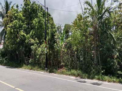 Kebun di jual pinggir Jln.B.Aceh-Medan Dekat SMA1& polsek uleegle