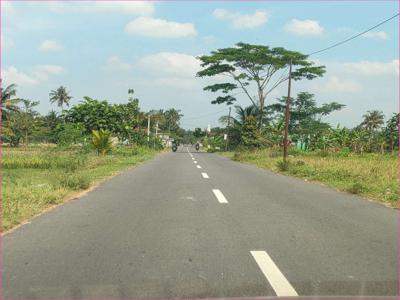 Pekarangan Moyudan Dijual, Tepi Jalan Aspal Utama, Sertipikat SHM