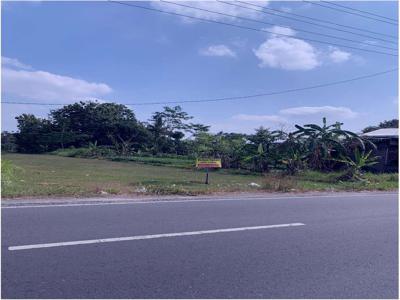 Tanah Belakang Taman Pringsewu, Tanah Strategis di Jalan Magelang Km 8