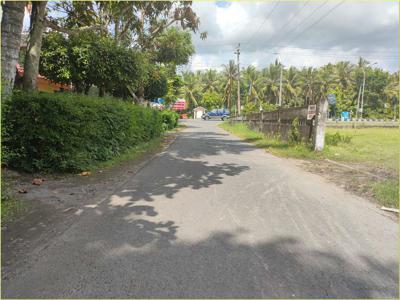 Tanah Cocok Dijadikan Aset Dekat Jalan Raya