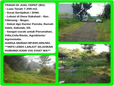 Tanah Dekat Pemda Kab.Bogor Murah SHM 7.306 m2.