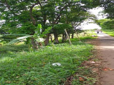 Tanah di puncak jaya desa pananjung Cangkuang soreang bandung