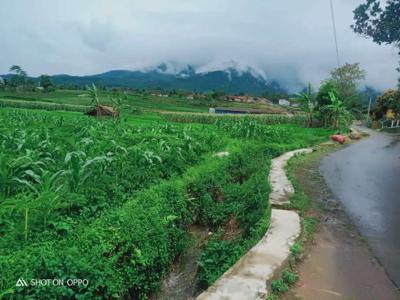 Tanah kebun pinggir jalan view super keren air melimpah