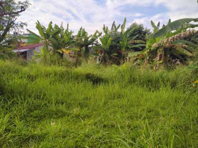 Tanah Murah Luas 400an m2 Siap Bangun Lokasi Bojonggede Bogor