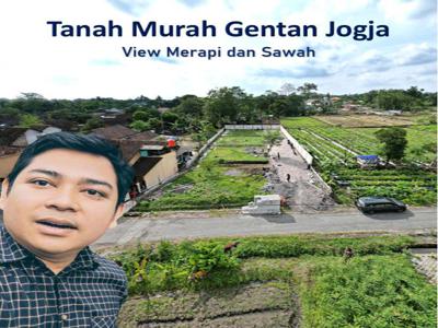 Tanah View Merapi dan Sawah di Kaliurang Jogja, SHMP Ready